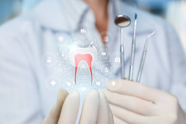 Why Choose Us for Your Dental Needs in Zellwood, FL